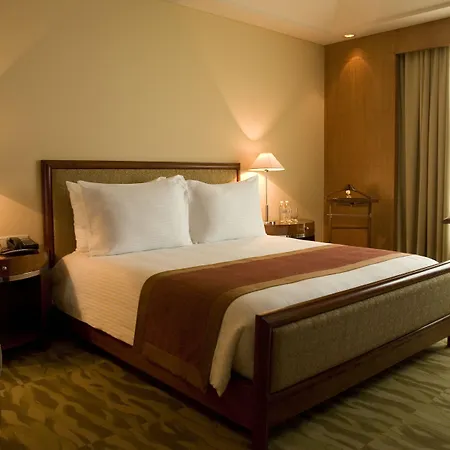 The Grand New Delhi-2